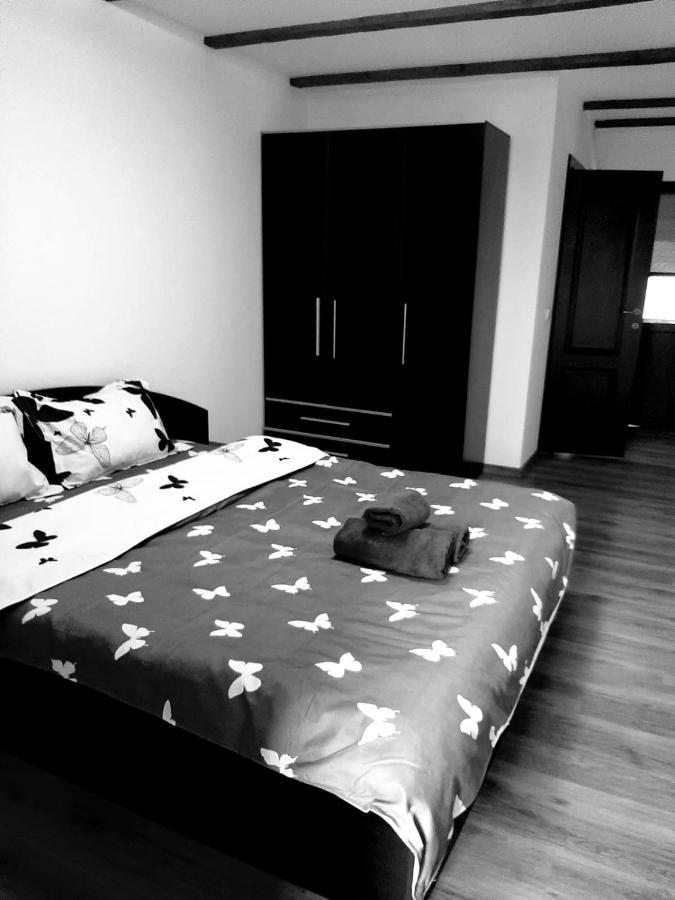 Casa De Vacanta Sadu 外观 照片