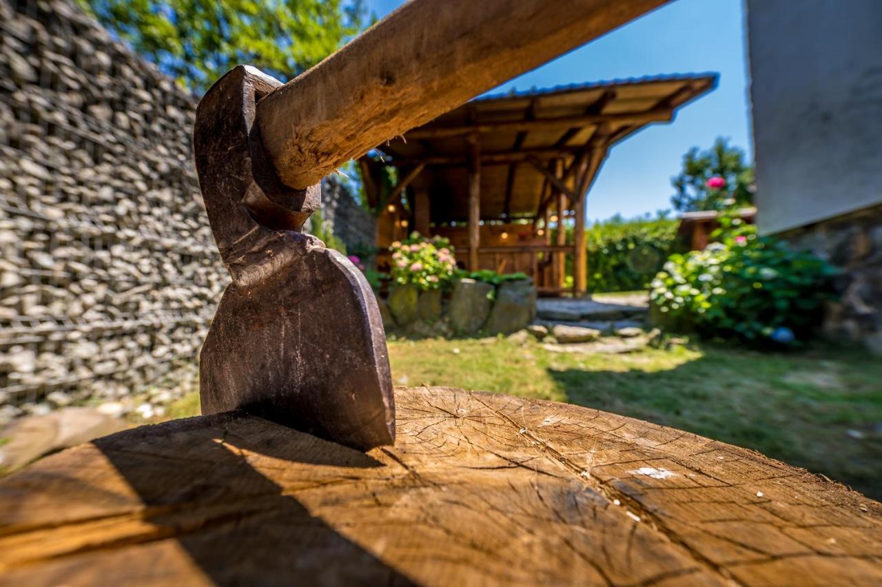 Casa De Vacanta Sadu 外观 照片